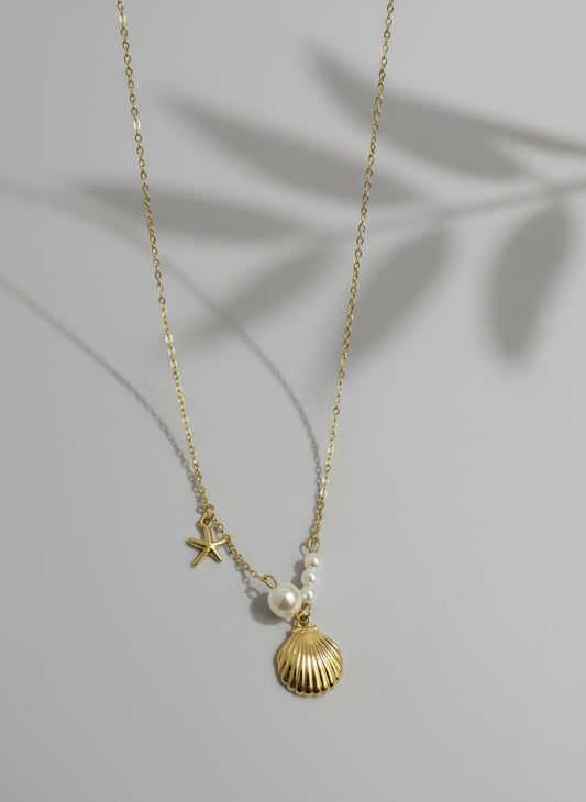 Seashell Necklace